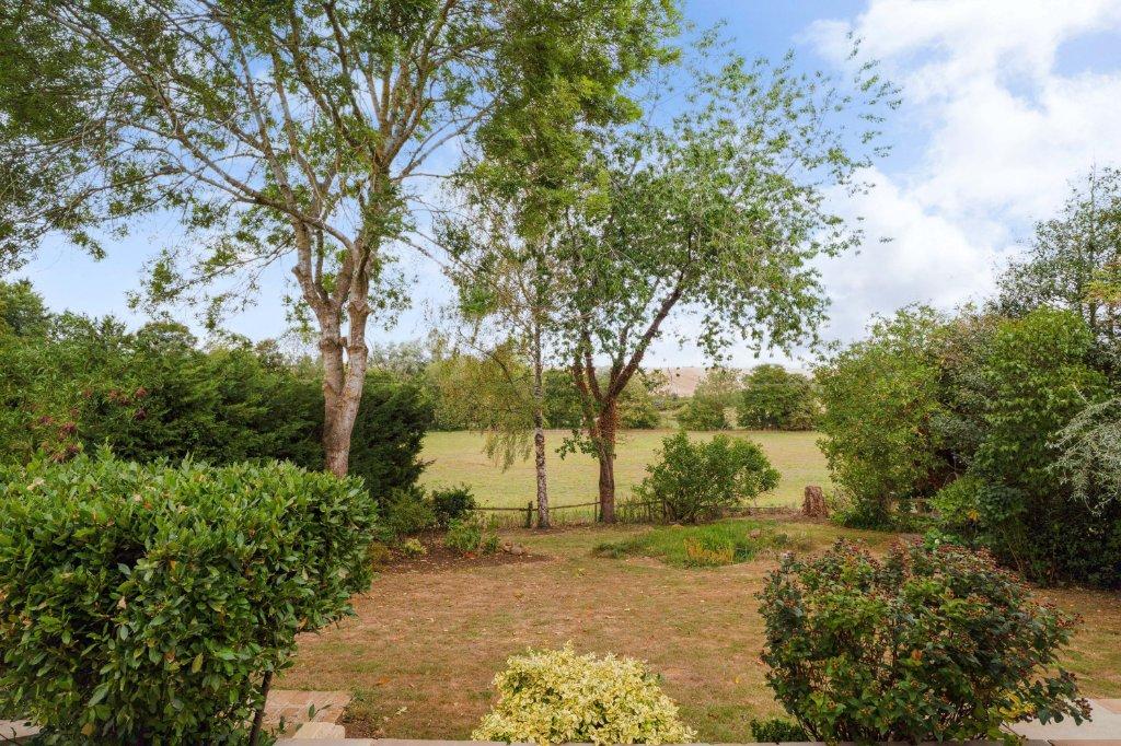 Garden.