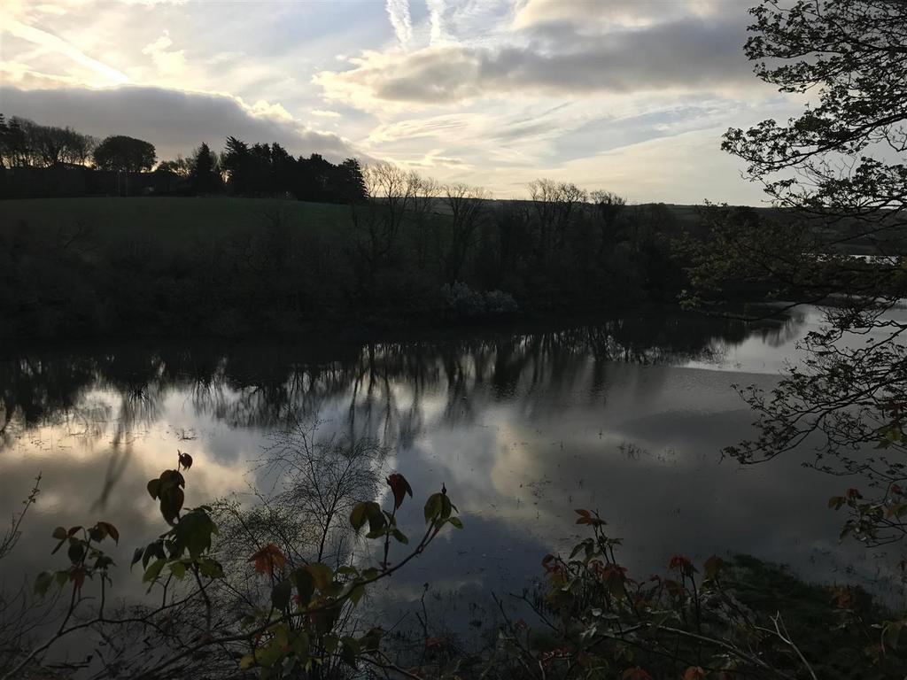 1000120846.jpg