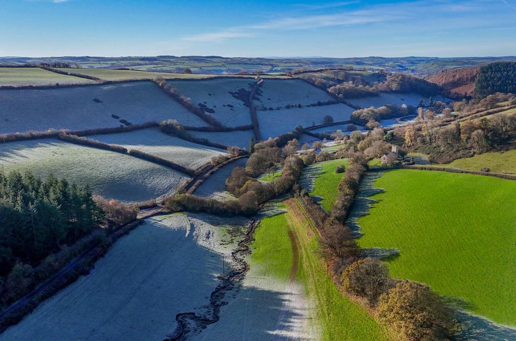 Raddington, Seddons