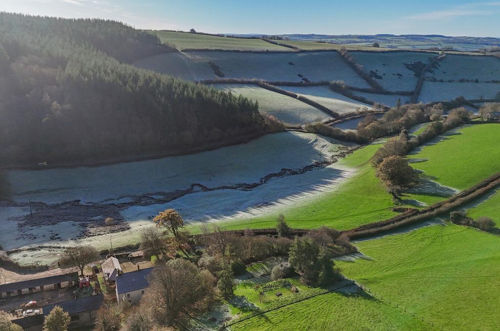 Raddington, Seddons