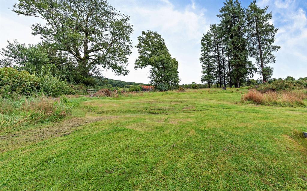 Garden Area