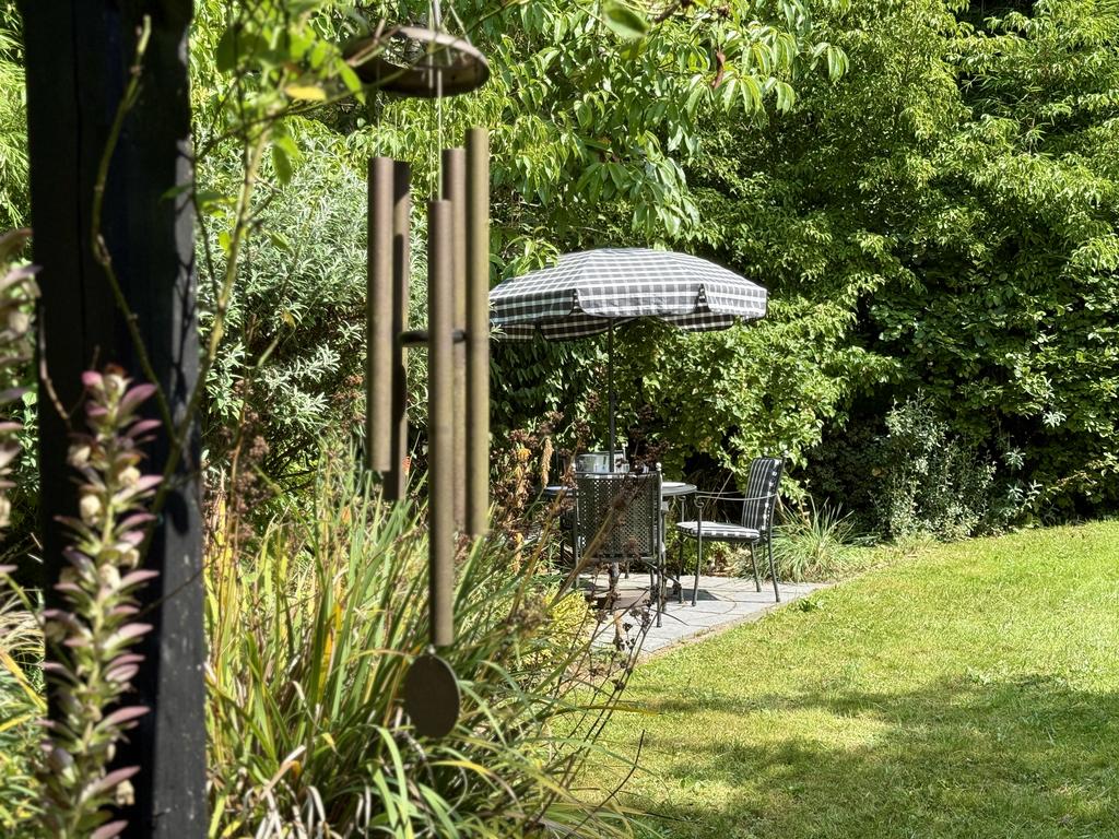 Patio Area