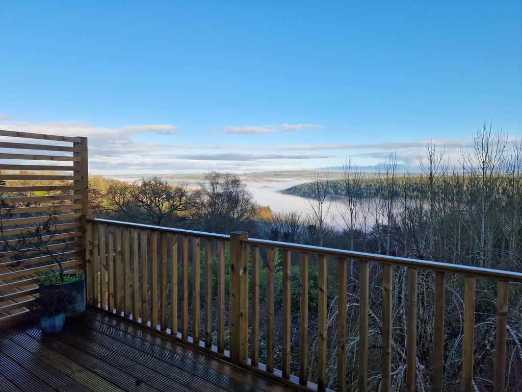 Morning mist (vendor photo)