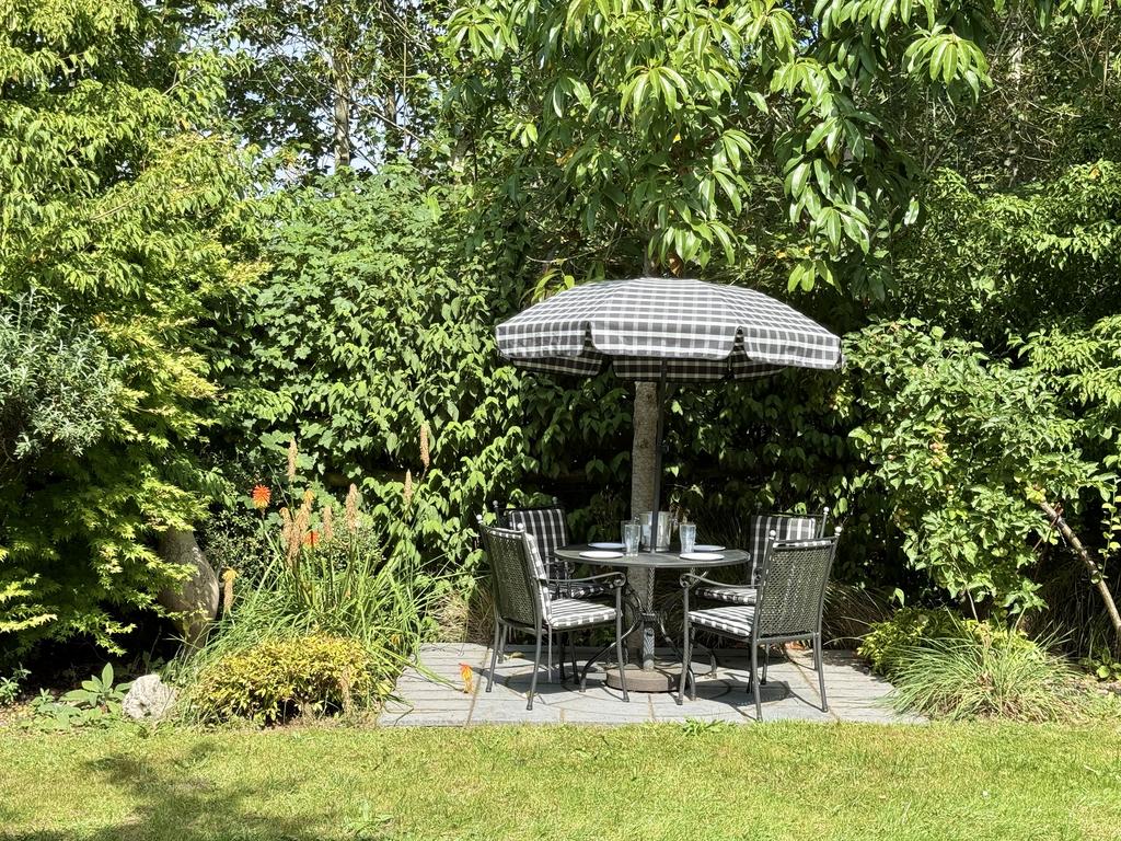 Patio area