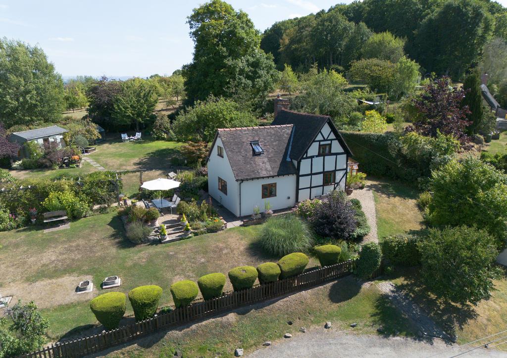 Aerial  View