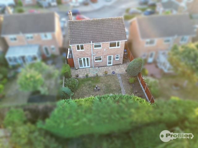 AERIAL4.jpg