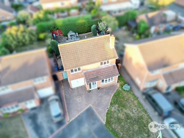 AERIAL2.jpg