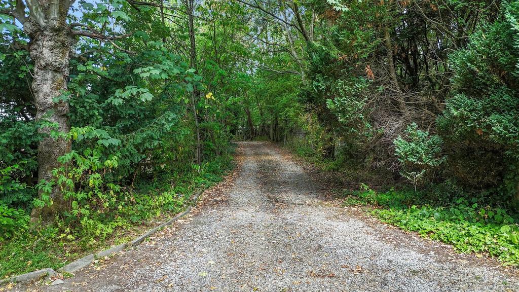 2025-08-26 12.13.55 1.jpg