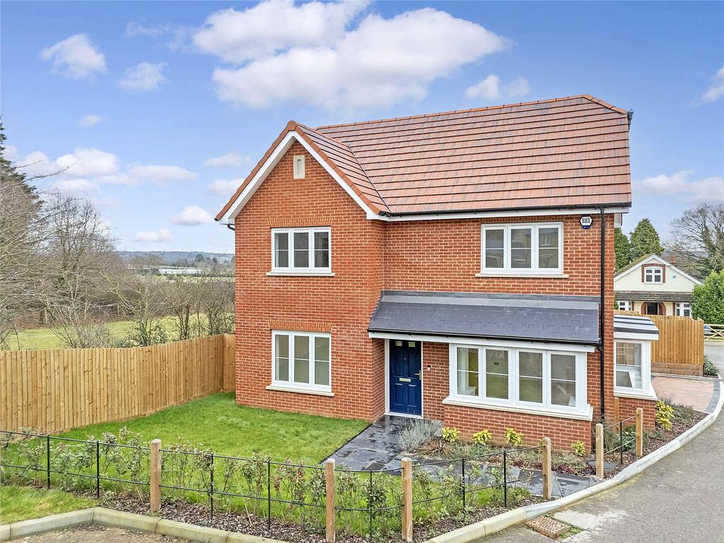 Front Plot 5