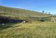 Additional image 10 of Pisgah, Aberystwyth
