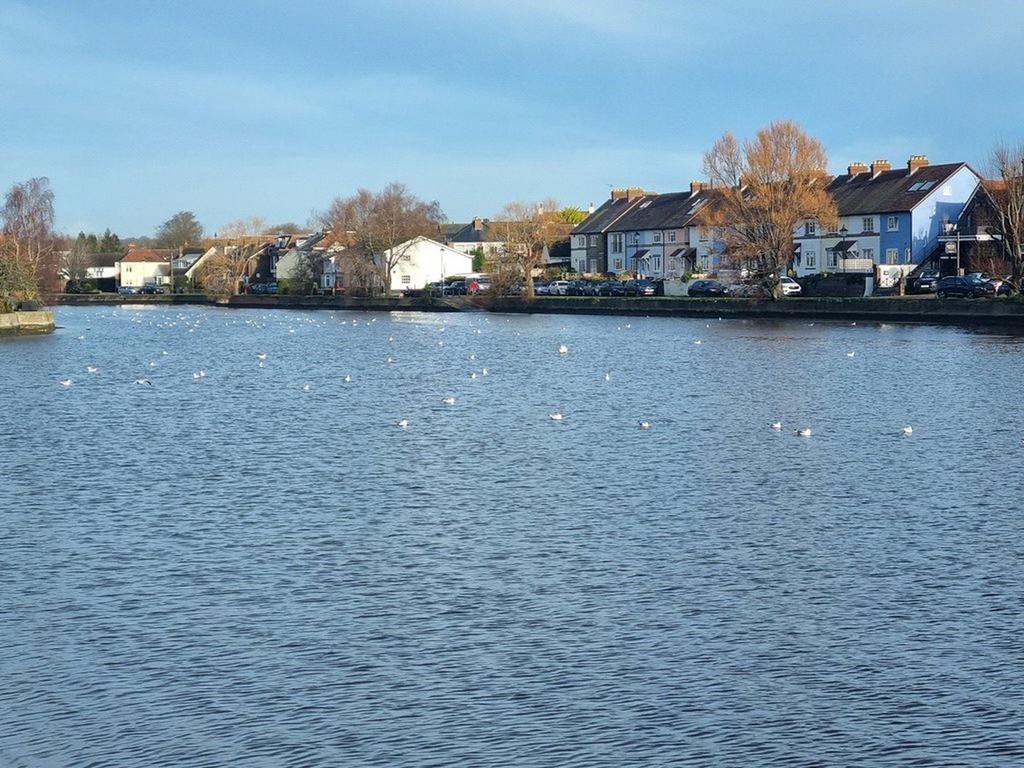Emsworth Pond