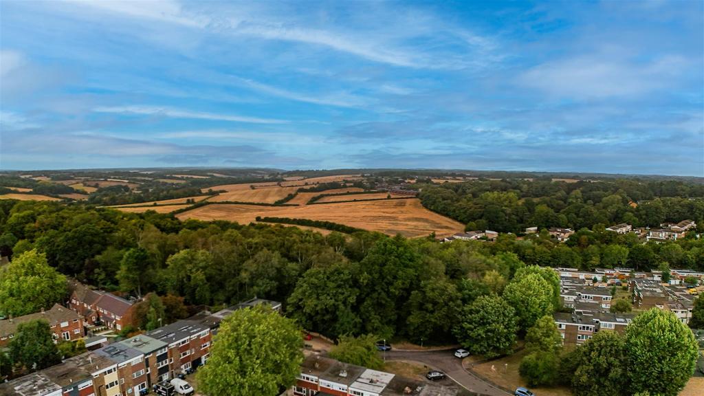 DJI 20250827143246 0339 D.jpg