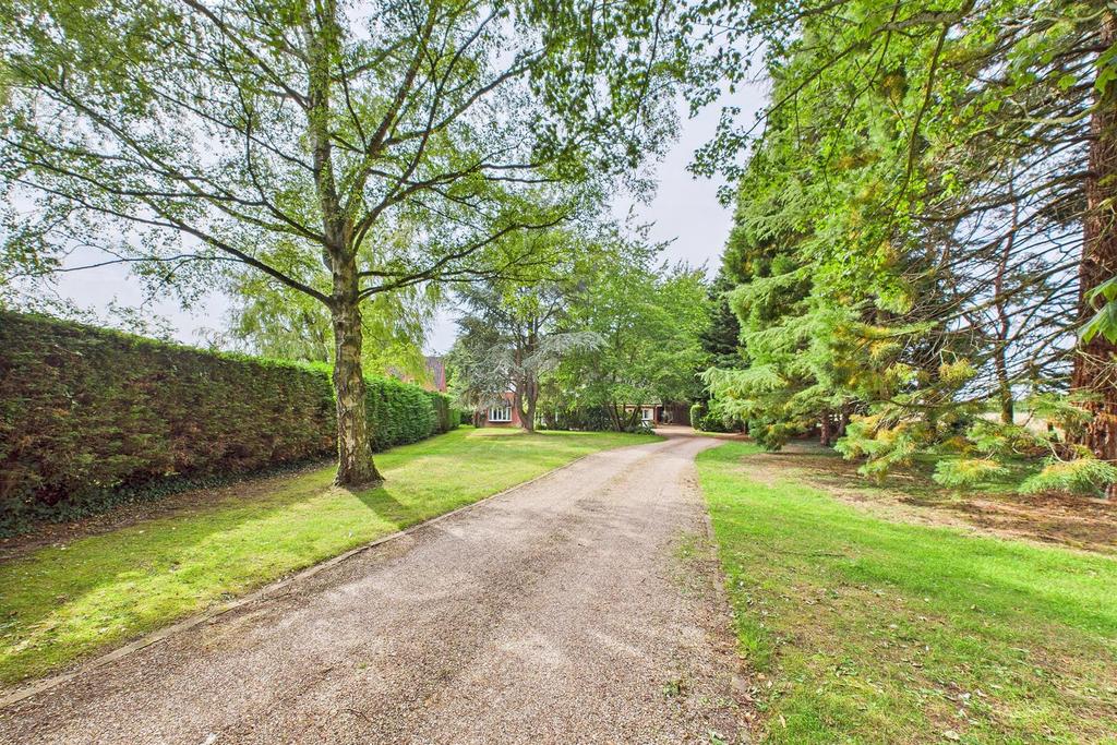 Driveway