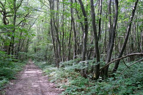 undefined, Monkery Lane, Charing TN27
