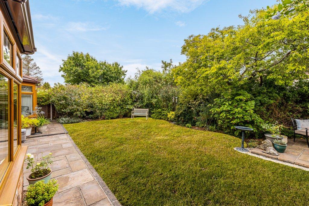 Rear Gardens