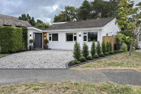 3 bedroom detached bungalow for sale, Ivy Close, St. Leonards, BH24 2QZ