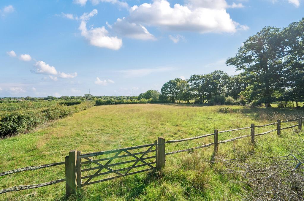 1340451-4-689e10e...