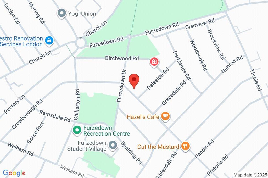 Google Maps Image