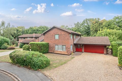 Luckley Wood, Berkshire RG41