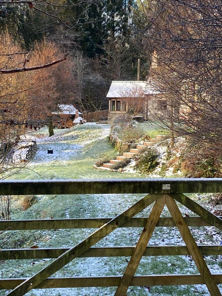 Garden (second view)