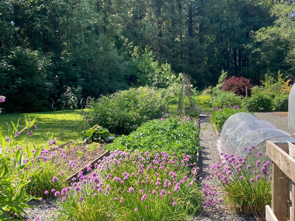 Terraced garden