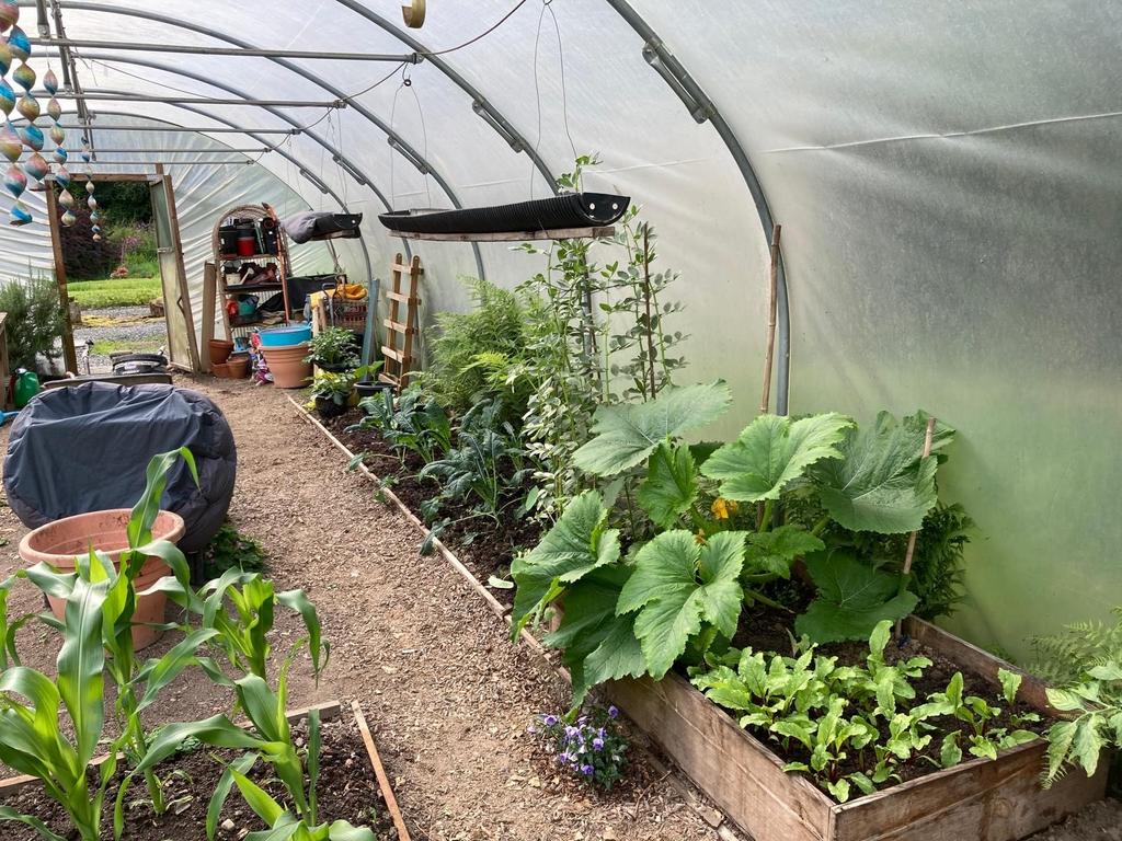 Polytunnel