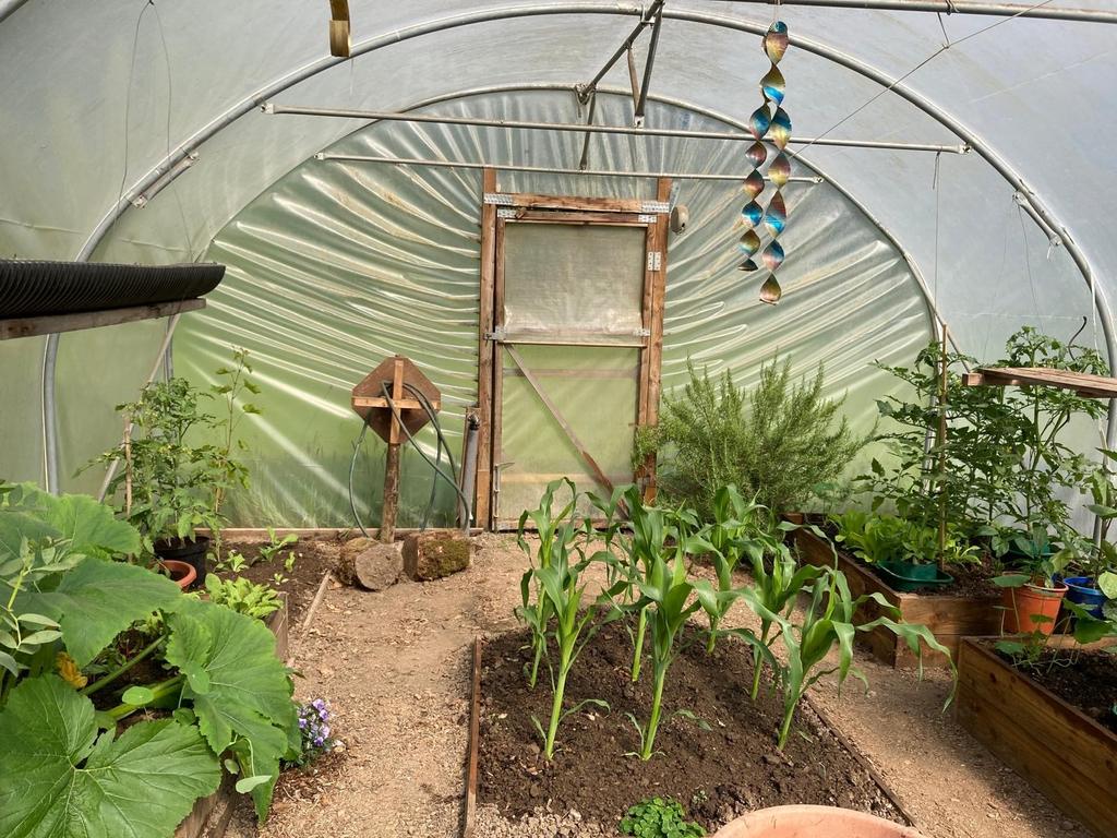 Polytunnel