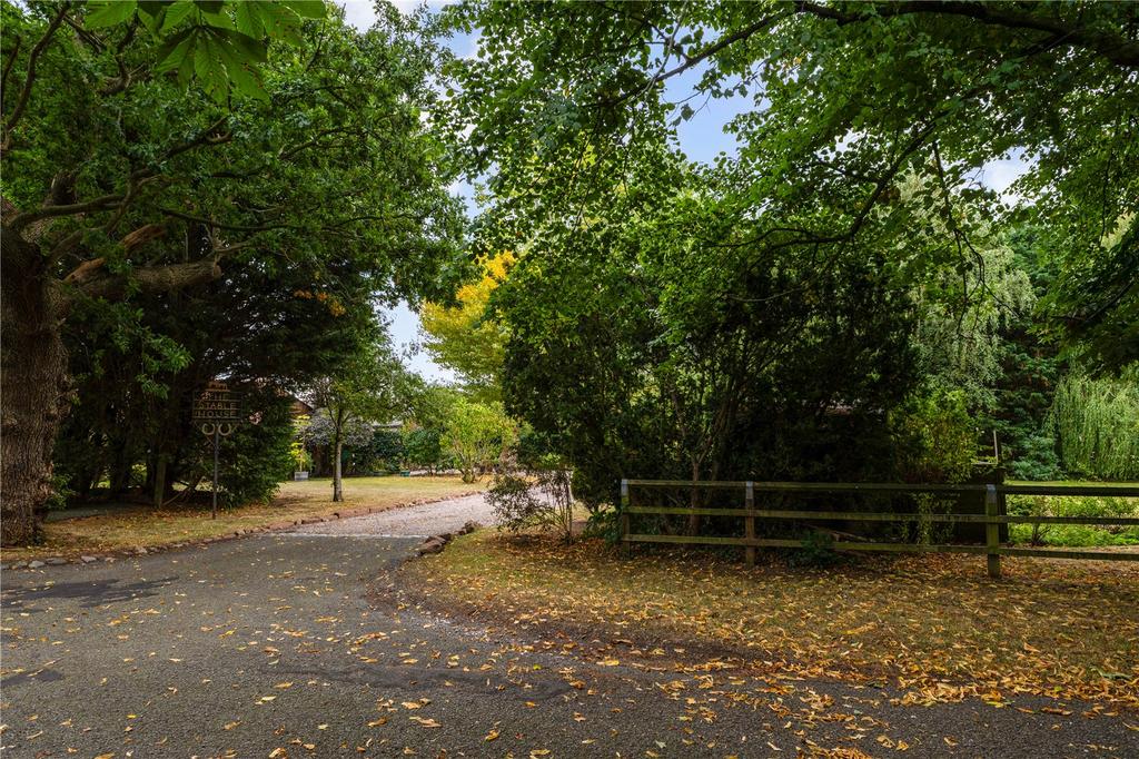 Driveway