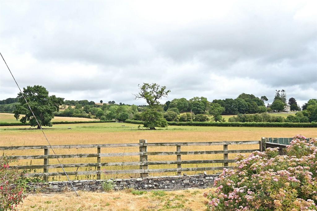 View From Garden