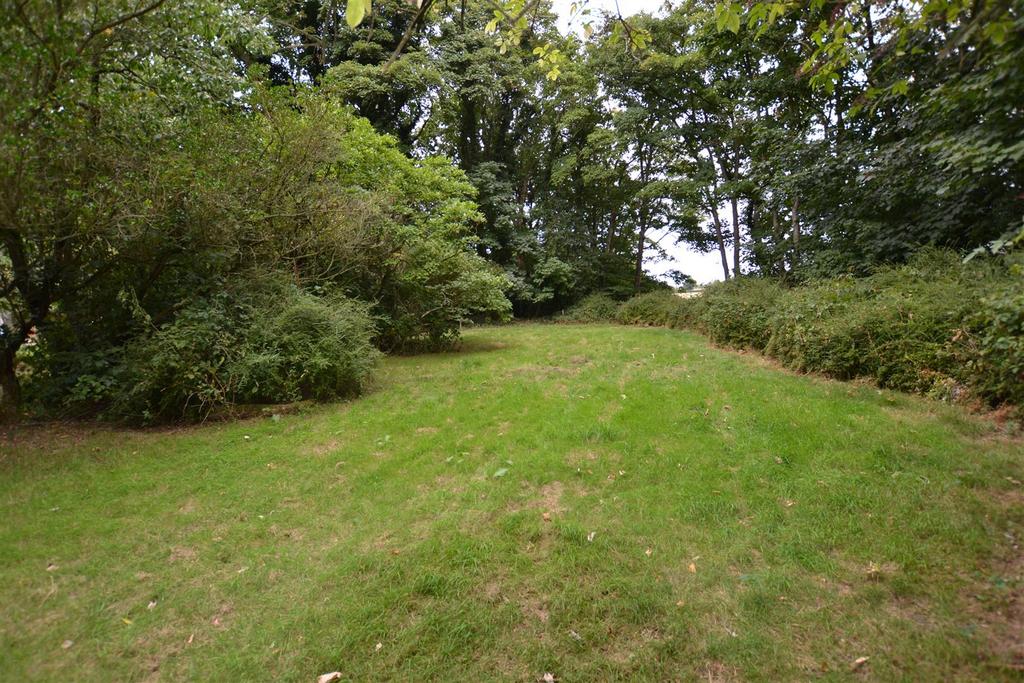 Dsc 1331.jpg