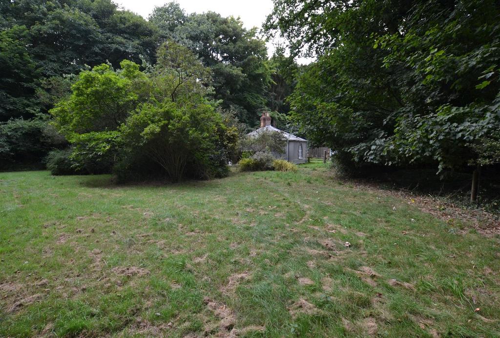 Dsc 1334.jpg