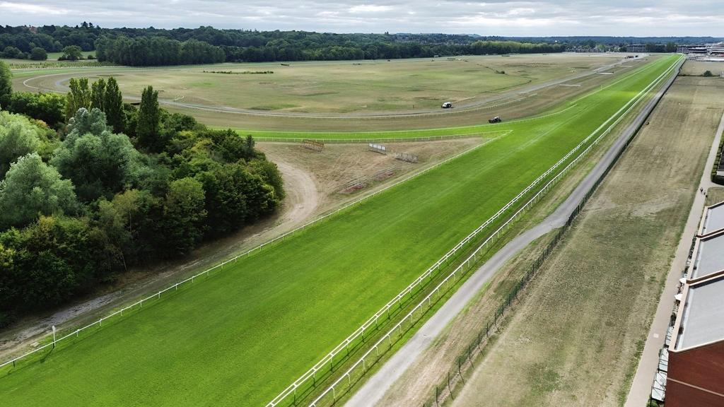 Racecourse