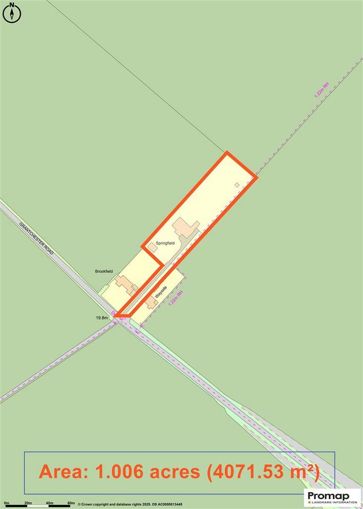 Promap-3272108-3369046.jpg