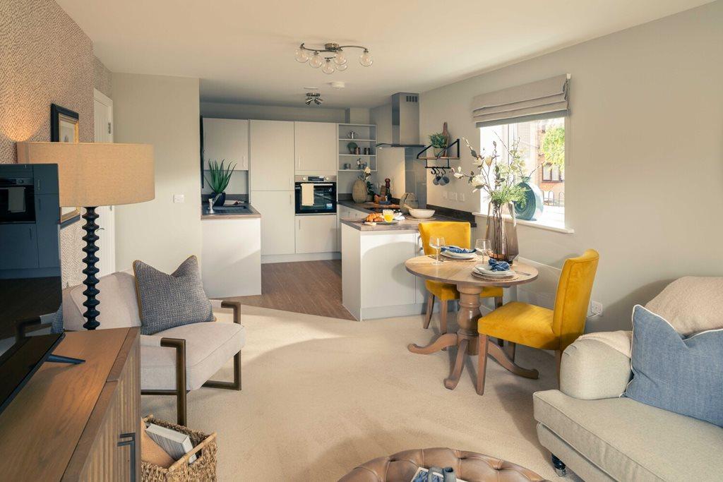 Show home living room