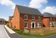 Avondale Special at DWH at Wendel View Park Farm Way, off Prospero Drive, Wellingborough NN8