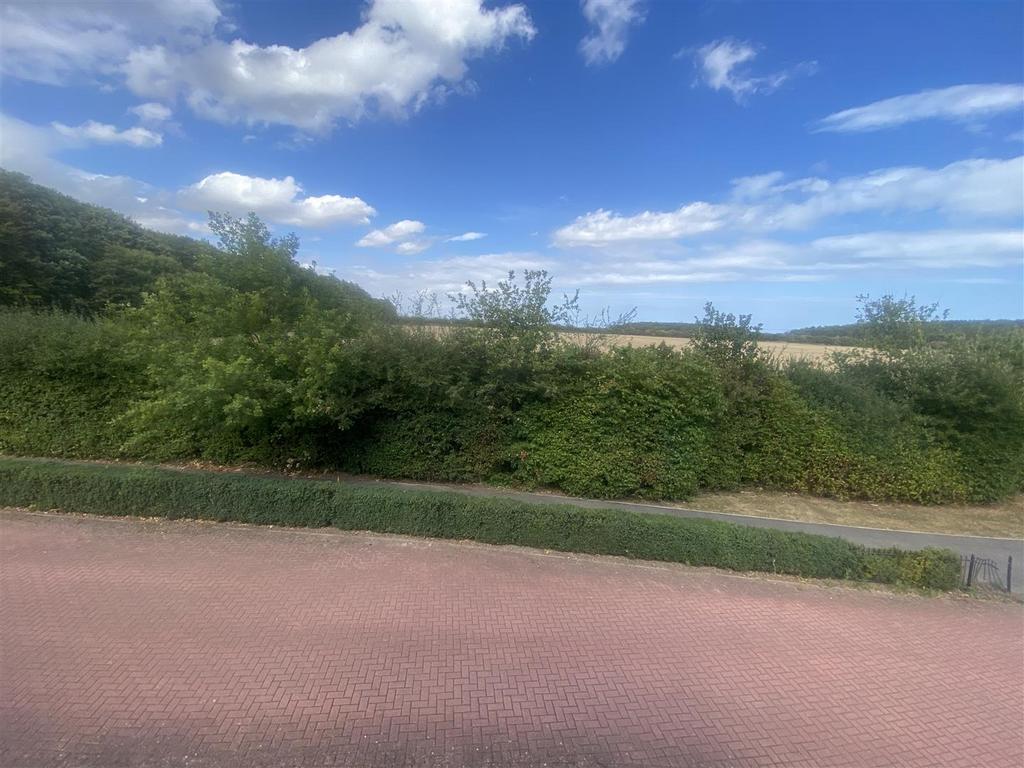 IMG 3923.jpeg