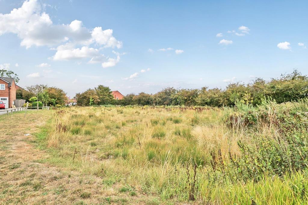 Life style grass view.jpg