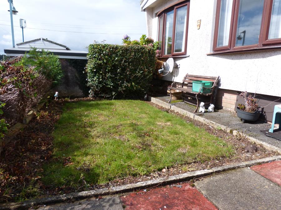 Back Garden