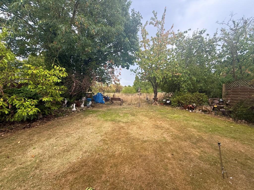 Garden 1
