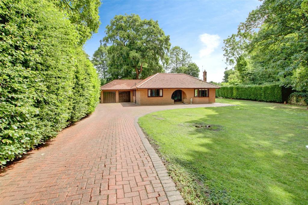 Driveway
