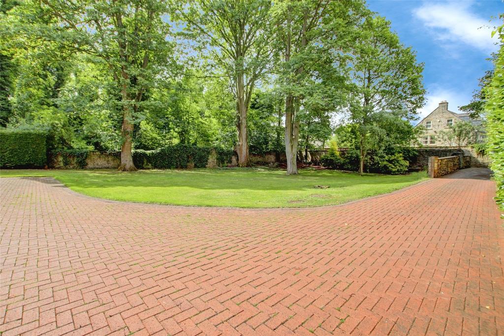Driveway and Front