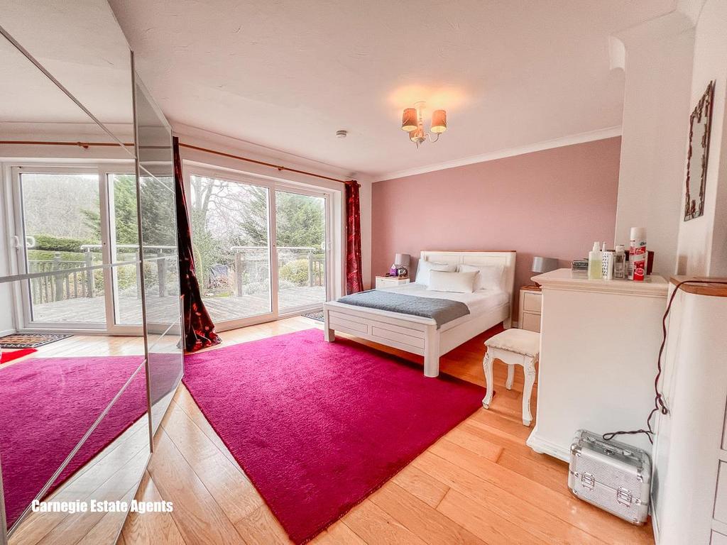 Lounge/Bedroom 1