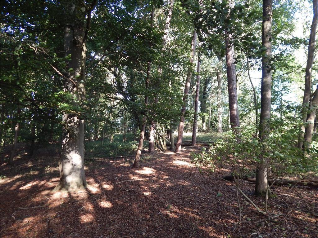 Picture No. 15