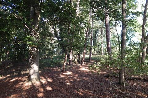 undefined, Sunnyside, Bergh Apton, Norwich, Norfolk