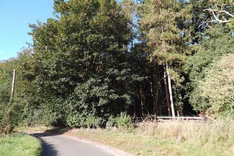 undefined, Sunnyside, Bergh Apton, Norwich, Norfolk