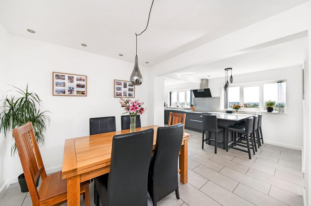 Open plan dining kitchen dining area