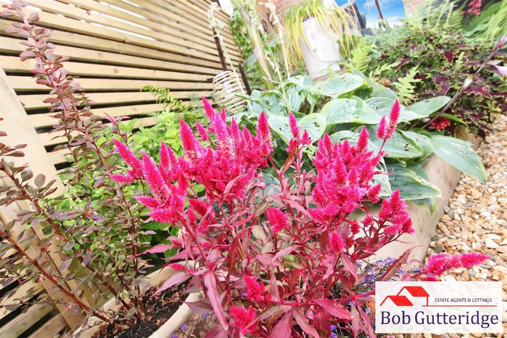 B4a25aa9-IMG 7101.JPG