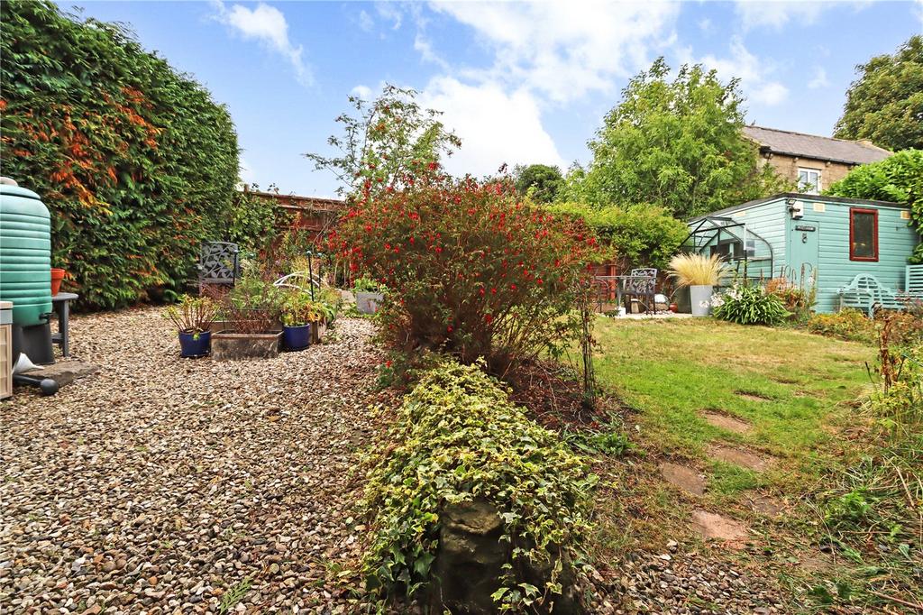 Garden Pic 2