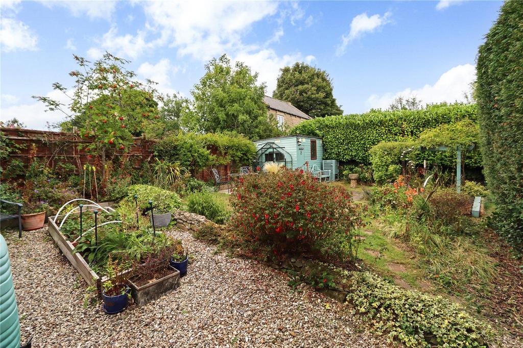 Garden Pic 1