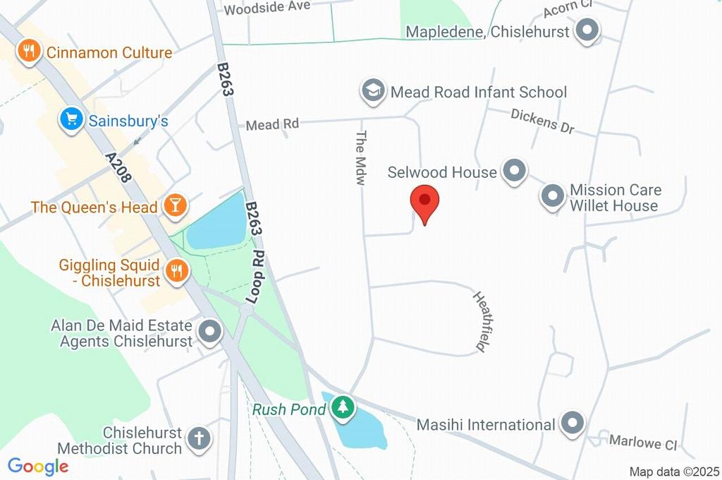 Google Maps Image
